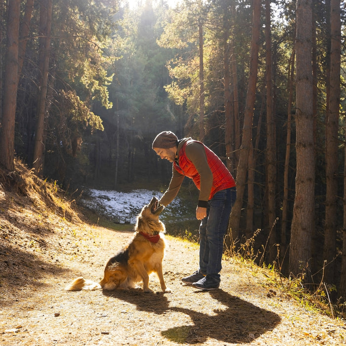 A man in a light jacket stops to pet his dog on a wooden trail.