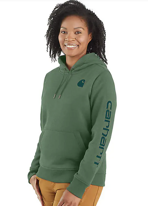 Carhartt Women's Relaxed Fit Midweight Logo Sleeve Graphic Hoodie 2024 Colors 102791