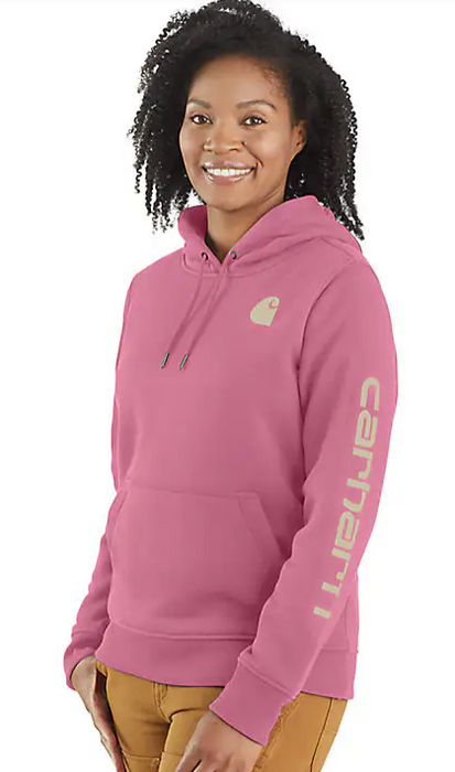 Carhartt Women's Relaxed Fit Midweight Logo Sleeve Graphic Hoodie 2024 Colors 102791