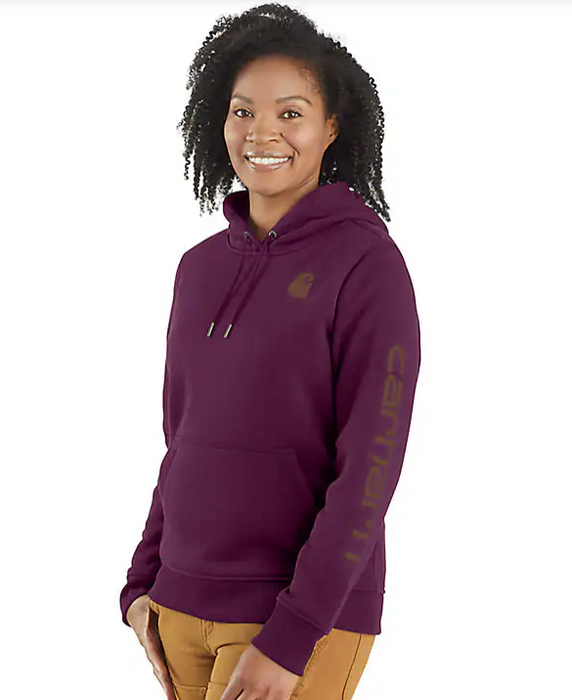 Carhartt Women's Relaxed Fit Midweight Logo Sleeve Graphic Hoodie 2024 Colors 102791