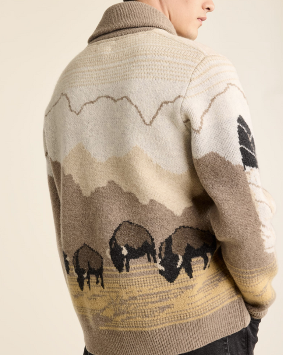 Pendleton In Their Element Sweater