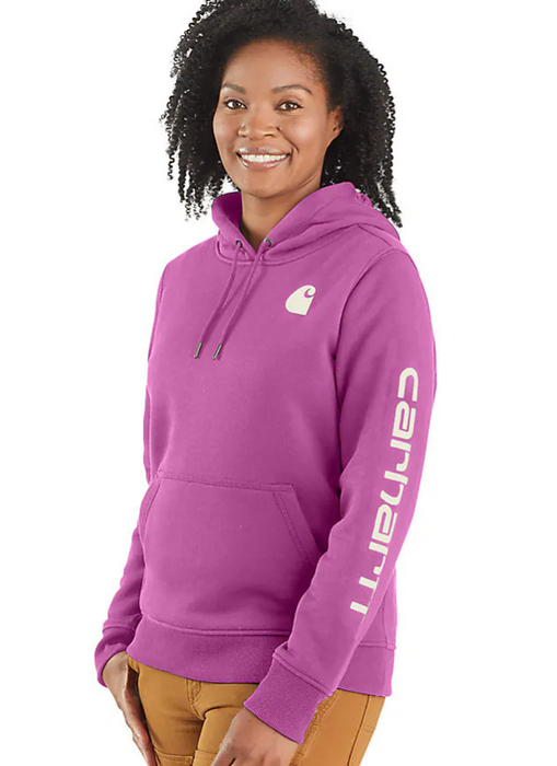Carhartt Women's Relaxed Fit Midweight Hoodie - Premium Carhartt Women's Relaxed Fit Midweight Hoodie - Premium
