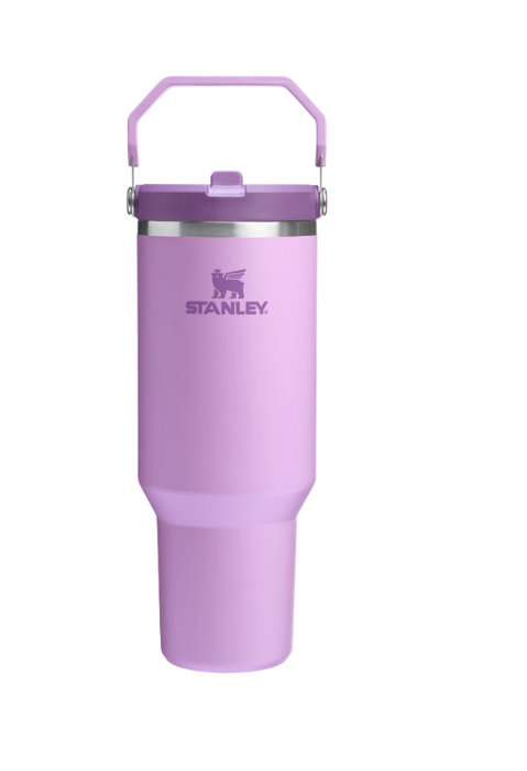 Stanley The IceFlow Flip Straw Tumbler 30 oz