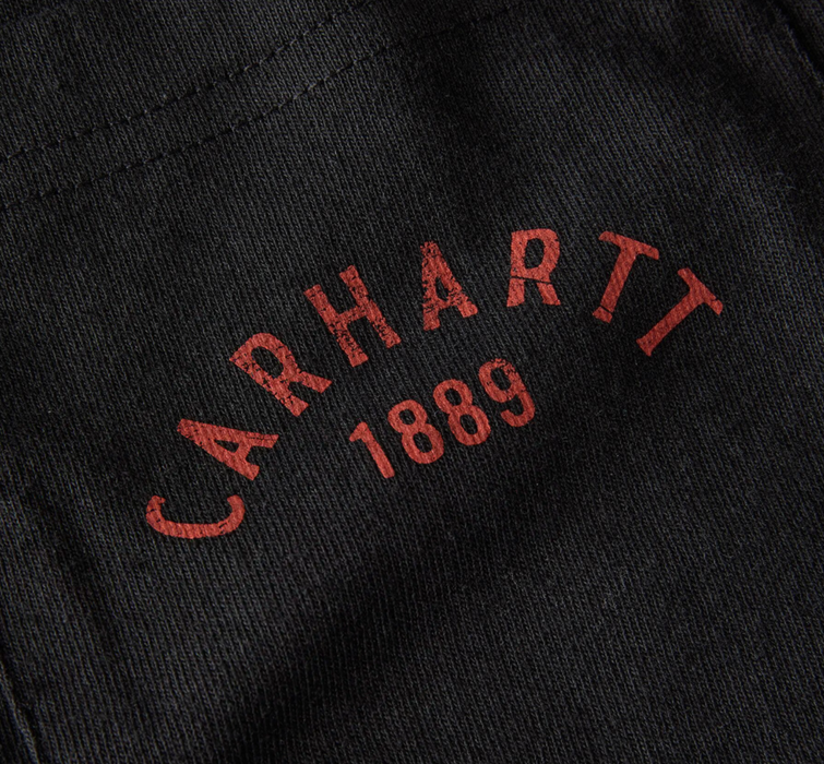 Carhartt Men's Heavyweight Longhorn Graphic Long-Sleeve T-Shirt - Western Workwear Essential