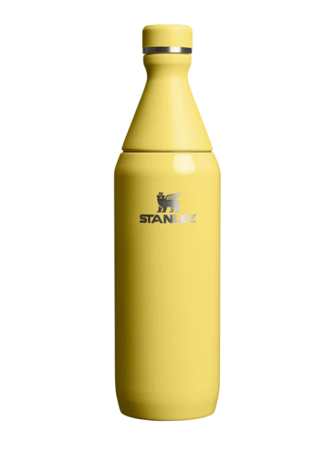 All Day Slim Water Bottle | 20 oz | Recycled Stainless Steel