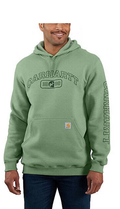 Carhartt Loose Fit Midweight Hooded Shamrock Graphic Sweatshirt