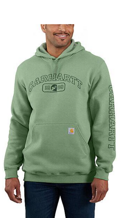 Carhartt hoodie grey and green sale