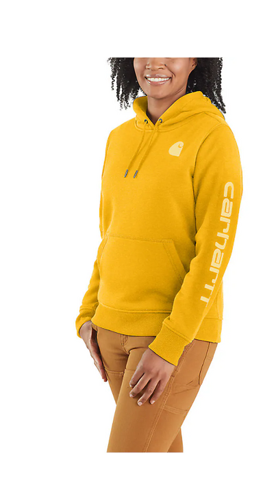 Carhartt Women s Clarksburg Graphic Sweatshirt 2023 Colors 102791